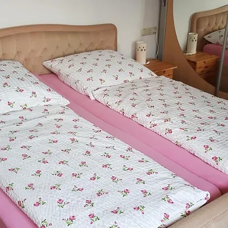 Ferienwohnung Schmidt Appartamento